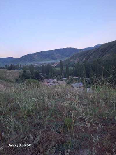 This media file captures a landscape scene in Itagar, Kyrgyzstan, likely during the early morning or late evening due to the soft, diffused light and the clear, pale blue sky. The image is oriented vertically.

The main subjects are a dramatic mountain range that dominates the left side of the frame, sloping down into a valley. The mountains are covered in vegetation, appearing dark green and somewhat rugged. In the valley below, a small cluster of buildings, possibly rural dwellings or farm structures, are visible nestled among a line of tall, slender trees. The foreground is filled with dry, wild grass and other low-lying vegetation, suggesting a natural, perhaps somewhat arid, environment.

There is no discernible activity or event taking place. The scene appears still and peaceful. The time of day is indicated by the soft light, which casts no harsh shadows, and the serene sky. The presence of buildings and trees in the valley provides a sense of human habitation within the natural landscape, but the overall impression is one of solitude and natural beauty. The weather appears clear and calm.

Visible text in the lower right corner reads "Galaxy A56 5G", which is a watermark from the device used to capture the image.