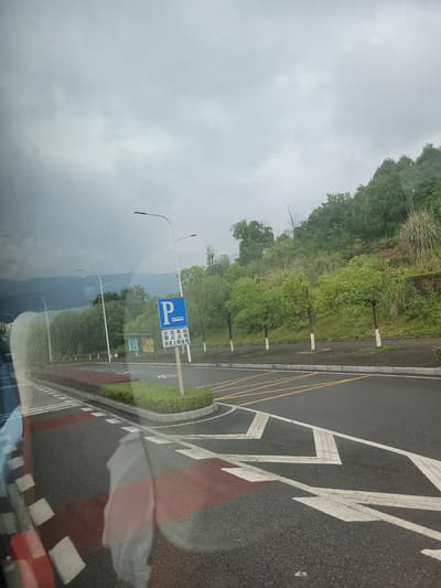 This image captures a roadside scene in Yufengshan, China, on a cloudy day. The perspective is from inside a vehicle, looking outwards and slightly upwards.

The foreground features a paved road with distinct white and red markings, indicating lanes or a designated area. A strip of green grass and bushes borders the road. Several tall lampposts are visible along the roadside.

A prominent blue sign with a white 'P' symbol, commonly associated with parking, is mounted on a pole. Next to it, a smaller sign displays Chinese characters, which appear to be related to bus stops or parking regulations.

The background consists of a lush, green hillside covered in trees and vegetation, with misty mountains visible in the distance. The overcast sky suggests it might be a cool or damp day. The overall impression is one of a scenic, possibly rural, roadside environment. There are no people visible in the image.
