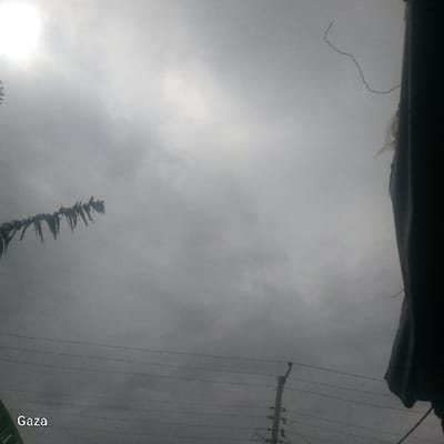 The image presents an outdoor scene under an overcast sky, captured from a low angle. The upper two-thirds of the frame are dominated by dense, grey clouds, with a concentrated bright area in the upper-left quadrant indicating the obscured sun. On the left side, a dark green, multi-segmented leafy branch or frond extends into the frame. Multiple dark horizontal utility wires are visible across the lower half of the image. In the lower-right quadrant, a light-colored utility pole, equipped with insulators, rises vertically, supporting some of these wires. A dark, vertical structure, consistent with a building edge or wall, occupies the far right side of the frame, with a light-colored, irregularly shaped material and a thin, dark filament attached near its upper portion. The word "Gaza" is superimposed in white text in the bottom-left corner of the image. No individuals or discernible actions are depicted. The scene is situated in Kamera ward, Kenya.