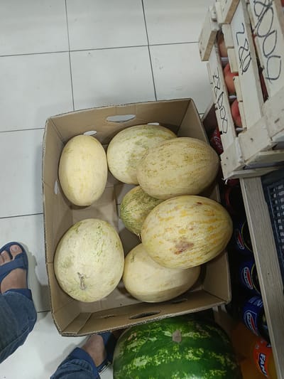This is an overhead, close-up, eye-level shot of a cardboard box filled with ripe melons, set on a light-colored tiled floor. To the right of the box is a wooden crate containing light-skinned fruits, possibly peaches, with handwritten price tags. The wooden crate also shows a partially visible Coca-Cola bottle. In the foreground, two feet wearing blue sandals are visible, one on the left and one on the right, suggesting the presence of at least two people. A large watermelon is visible at the bottom of the frame, partially obscured by the box of melons. The scene appears to be an outdoor market or grocery store stall in Gulbakhor, Uzbekistan, indicated by the presence of fruits and the generic tiled flooring common in such locations.