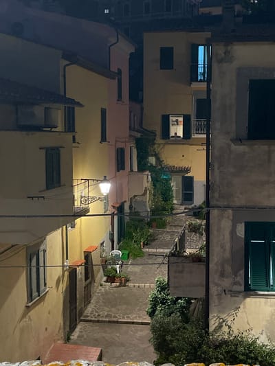 The image shows a narrow, cobblestone alleyway in Portoferraio, Italy, at night. The alleyway is lined with old, yellow-painted buildings with closed windows and doors. There are a few plants and trees growing in the alley, and a single street lamp shines brightly on the ground. The image was taken from a slightly elevated perspective, looking down into the alleyway. The alleyway is quiet and deserted, with no people visible. The street lamp is mounted on the wall of a building on the left-hand side of the alleyway. The lamp illuminates a small area of the alleyway, but the rest of the scene is shrouded in darkness. 
The coordinates 42.816, 10.332 place the scene in Portoferraio, Elba, Italy. The view is looking down from the wall of a building overlooking the street.  A white plastic chair sits on the ground in the street lamp's light. The chair is directly in front of a closed, black door on the left side of the alleyway. The door is on the same side of the street as the street lamp.  A white railing and a black door on the right side of the street can also be seen in the lower right corner of the image.  There is an open window on the building on the right side of the street with a wooden, open shutter. The window on the right side of the street, is directly across from the chair, and the door on the right side of the street is directly across from the door on the left side of the street.
The scene is tranquil and peaceful.