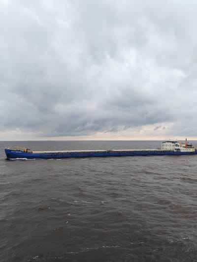 A long, blue cargo ship is sailing on dark, choppy water under a cloudy sky. The ship has white superstructure at the stern, and the name "ВОЛГО-ДОН 5069" is visible in white lettering on the bow. The location is the city of Dobrynskoe, Russia. The water is calm and the sky is overcast.