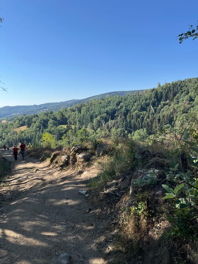 The image depicts a dirt path winding through a lush, forested hillside under a clear blue sky. The path is well-trodden, with shadows from unseen trees dappling the surface. In the middle ground, two people are walking along the path, one wearing a red shirt and the other a red hat and shirt. They are walking away from the camera, in the direction of the distant hills. The surrounding environment is characterized by dense green trees, some of which are taller and darker coniferous trees, interspersed with lighter green deciduous trees and patches of dry grass and rocky outcrops. The overall impression is one of a natural, rural landscape, likely a hiking trail in the region of Gumières, France. The scene appears to be set during daytime, with bright sunlight illuminating the landscape.