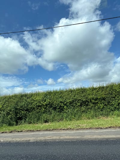 A landscape photograph captures a scene of a road running alongside a tall, well-maintained green hedge, set against a backdrop of a bright blue sky filled with fluffy white clouds. A single black power line stretches across the sky. The road surface is dark asphalt, showing signs of wear. The hedge is dense and uniformly trimmed. The photograph seems to be taken from a moving vehicle. There is no verifiable evidence to pinpoint the exact location as Chester, United Kingdom. No people, actions, or interactions are shown in the image.