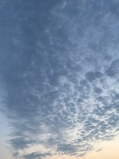 The image shows a sky filled with altocumulus clouds in a pattern resembling ripples or small cotton balls. The clouds are predominantly gray and blue, with lighter areas where the sunlight is more visible. Towards the bottom of the image, the sky transitions to a pale yellow and orange hue, suggesting either sunrise or sunset. There are no discernible objects, people, or actions visible in the image, and the location in Сёла, Russia, cannot be determined from the visual content alone.