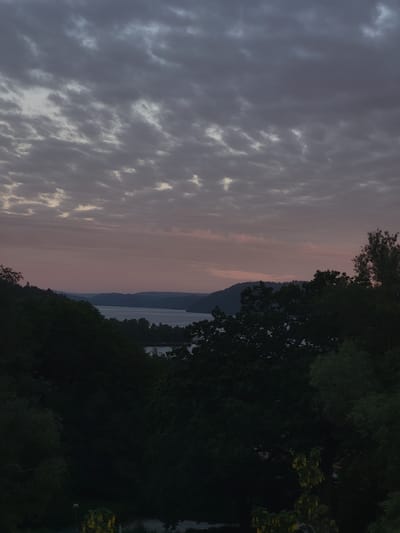 The image depicts a twilight scene over a body of water, likely a lake, viewed from an elevated position overlooking a densely wooded area. The sky is filled with dramatic, elongated clouds, exhibiting a range of grays and muted pinks, suggesting the sun is either setting or has recently set. In the distance, rolling hills or mountains are silhouetted against the sky. In the foreground, dark green foliage dominates, with the tops of trees reaching towards the viewer. A small cluster of bright yellow flowers is visible in the lower left portion of the image, contrasting with the dark greenery. There are no people or visible signs of human activity, aside from what might be a distant street lamp obscured by trees. The overall mood is serene and natural, with a focus on the landscape and atmospheric conditions. The location is identified as Svenshögen, Sweden.