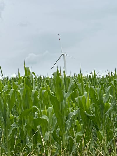 In Kolubaivtsi, Ukraine, a field of tall, green corn stalks dominates the foreground, their broad leaves reaching towards a cloudy sky. In the background, a solitary white wind turbine with red accents stands tall, its blades stationary against the overcast heavens. The image captures a rural, agricultural landscape, emphasizing the contrast between the natural growth of the corn and the man-made structure of the wind turbine.