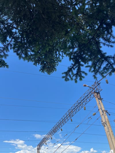 The image is a low-angle shot looking up at a bright blue sky. In the upper left quadrant, the dark green branches of a coniferous tree canopy partially obscure the sky. In the right half of the image, a concrete utility pole with a metal support structure for electrical lines stands prominently. Several electrical wires are strung horizontally across the frame, supported by insulators attached to the pole and the metal structure. A street lamp with an orange-tinted light fixture is attached to the metal structure, pointing towards the viewer. In the lower portion of the image, scattered white clouds are visible against the blue sky. The scene appears to be outdoors, possibly near a railway line or a major road, given the presence of the utility pole and extensive wiring. The location is identified as Pereyaslavka, Russia.
