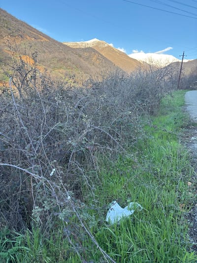 The scene depicts a roadside in Gudemnis, Armenia. A mountain slope rises in the background, partially covered in snow at the summit. The foreground features a thicket of thorny bushes interspersed with green grass. A discarded white plastic bag is visible among the grass and bushes. A utility pole with power lines runs along the scene. The sky is blue and clear.