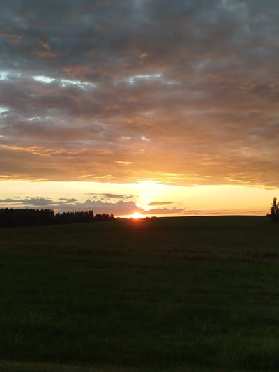 The image depicts a sunset over a rural landscape in Крупіцкі сельскі Савет, Belarus. The sky is filled with dramatic clouds, tinted with orange and grey hues, indicating the setting sun. The sun itself is a bright orb, partially obscured by clouds, casting a warm glow across the horizon. Below the sky, a dark green field stretches out, with a dense line of trees forming a dark silhouette along the distant edge. A single, thin tree stands in the middle ground on the right side of the frame. The overall impression is one of natural beauty and tranquility, characteristic of a rural Belarusian sunset.