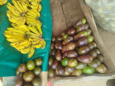 In Baccure Kofare, Nigeria, a street market scene unfolds with an overhead view of fresh produce. A vibrant green tarp to the left displays several bunches of ripe yellow bananas, some with dark speckles indicating ripeness. Beside the bananas, a coarse brown burlap sack is filled with a substantial pile of avocados. The avocados exhibit a mix of green and deep red skin tones, suggesting varying stages of ripeness. In the background, a translucent white plastic bag, also filled with produce, partially obscures the view. The ground beneath the market stall is a dusty, sandy surface.