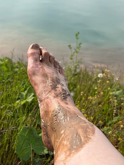 An outdoor scene in Sapunov Bor, Russia, presents a human right foot and lower shin. The foot, from the toes to the mid-dorsum, is heavily coated with wet, brown mud, with several white, feathery dandelion seeds adhered to its surface. A distinct transition from the mud-covered foot to the clean, bare skin of the lower shin is visible. The foot is positioned over a dense growth of varied green vegetation, including grasses, broadleaf plants, and small yellow flowering plants, all appearing vibrant. In the blurred background, a calm body of water exhibits a muted blue-green color. The scene is illuminated by natural daylight.