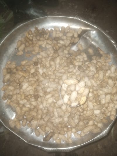 A wide-angle, high-angle shot captures a large pile of unpeeled peanuts in a metallic, shallow tray. The tray's rim is textured with a decorative rope-like pattern. A small, circular metallic container is partially submerged in the peanuts, filled with a handful of them. The peanuts vary in color from light tan to dark brown, with some showing visible markings on their shells. The lighting is dim, casting shadows and giving the scene a slightly muted appearance. The background is dark and out of focus, suggesting an indoor setting or an area with low ambient light. The overall impression is a close-up view of a common food item prepared for consumption. The specific location in Tundun Wada South, Nigeria, is not visually discernible from the image content alone.