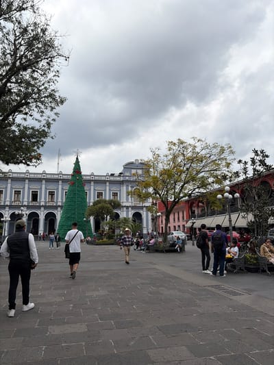 A public square scene is depicted under a cloudy sky. A large Christmas tree stands in front of a gray and white building. People stroll across the stone-paved square. Trees, both bare and green, frame the edges of the square. A variety of architecture is visible in the background, from traditional buildings to structures with decorative lighting.