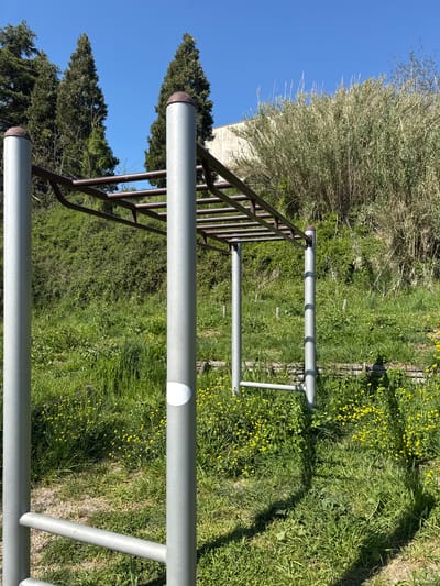 The image depicts a metal structure, possibly part of an outdoor exercise area or playground. The structure consists of parallel bars and a ladder-like component, all seemingly made of metal. The ground surrounding the structure is covered in grass and small yellow wildflowers. There are also trees and shrubbery in the background, with a clear blue sky visible above. It is located in Morlupo, Italy. The scene appears to be outdoors, likely in a park or recreational area. No people are visible in the image.