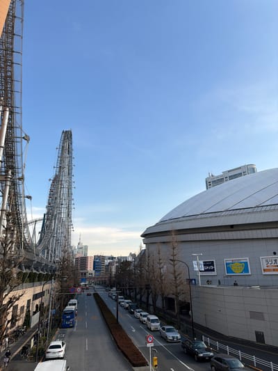 A cityscape view reveals a roller coaster extending toward the horizon against a clear blue sky. A building with commercial signs lines the top right, overlooking a street filled with parked vehicles. Bare trees stand beside the road. Other buildings populate the midground between the roller coaster and the horizon. The image appears to have been rotated 90 degrees.