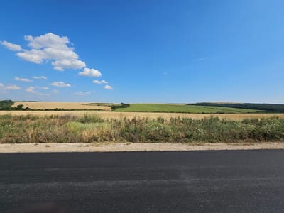 This is a wide, eye-level, landscape photograph taken on a clear day, depicting a rural scene. In the foreground, a section of dark asphalt road occupies the bottom portion of the frame, with a thin strip of light-colored gravel running along its edge. Beyond the gravel, a dense, overgrown bank of vegetation, comprised of tall grasses, wildflowers, and shrubs, stretches horizontally across the midground.
The background features rolling agricultural fields. On the left, a field of harvested golden crop, likely wheat or barley, shows rows of stubble. Adjacent to this, a vibrant green field, possibly a different crop or pasture, is visible. Further in the distance, a dark band of trees forms a treeline along a slight rise. The sky above is a deep, cloudless blue, with a few small, white cumulus clouds scattered across the upper left quadrant. The scene is static and devoid of human presence. The location is specified as Dobrusha, Bulgaria.