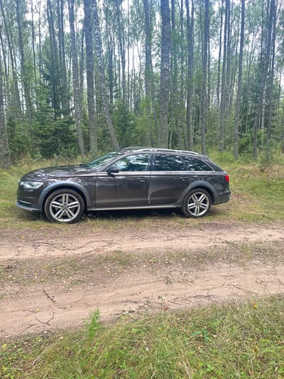 The image depicts a dark grey Audi A6 Allroad wagon parked on a dirt path in a birch forest. The car is positioned to the left of the frame, with its side facing the camera. The forest is dense with tall, slender birch trees that have white bark and dark markings. The ground is covered with a mix of dirt, dry leaves, and grass. The overall impression is a natural, secluded environment. The location is identified as Sesniki, Estonia, which is consistent with the type of forest and landscape shown. There are no people or animals visible in the image.