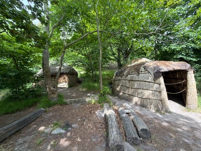 This media file depicts a historical reconstruction of ancient dwellings in a forested setting, likely a museum or historical park. The scene features two round, thatched-roof huts with openings that serve as entrances. These structures appear to be built from natural materials, including straw for the roofs and walls, and possibly animal hides draped over the tops. They are situated on a dirt path amidst lush green foliage and trees, suggesting a woodland environment.
In the foreground, there are several large, weathered logs lying on the ground, some appearing to be deliberately placed as seating or decorative elements. The lighting suggests it is daytime, with sunlight dappling through the leaves, creating a natural and somewhat serene atmosphere. The overall impression is one of a preserved or recreated historical site, offering a glimpse into past ways of life. There is no visible text in the image, nor are any people or specific activities taking place. The location context provided is Lejre, Denmark, which aligns with the historical and natural elements observed. The weather appears to be fair and possibly warm, given the green and leafy trees.