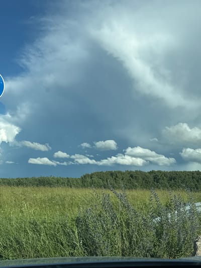 This image depicts a view from inside a vehicle looking out at a rural landscape, likely near Polivanovo, Russia. The sky is filled with dramatic clouds, with patches of blue sky visible. A large, gray cloud formation dominates the upper half of the image, with smaller, white cumulus clouds scattered below. In the distance, a dense line of green trees forms the horizon, separating the sky from a vast field of tall, green grass. Some purple wildflowers are visible in the foreground, growing amongst the grass. A portion of a road barrier is visible at the bottom of the frame, suggesting the perspective is from a moving vehicle on a road. No people are visible in the image.
