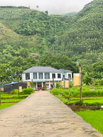 The image depicts a concrete road leading towards a building complex, likely a business or residential area, situated in a lush, green environment. The landscape is dominated by rolling hills covered in dense forestation, with terraced fields of bright green rice paddies flanking the road. The building in the center is a multi-story structure with a dark, sloped roof and numerous windows. Several signs, possibly informational or promotional, are posted on wooden poles along the road. The atmosphere appears slightly overcast, suggesting it might be a cloudy day or early morning. There are a few motorcycles parked near the building and some individuals in the vicinity, but no specific interactions are clearly visible. The overall scene suggests a rural or semi-rural setting in Vietnam, characterized by its natural beauty and agricultural activities.
