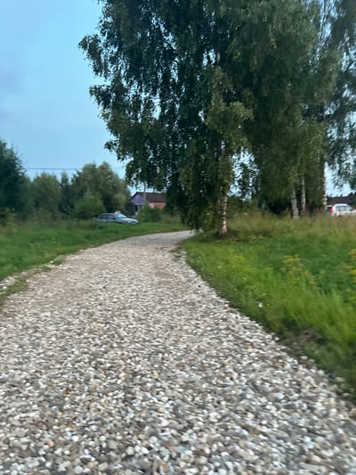 An outdoor, low-angle, slightly blurry, eye-level shot shows a gravel road curving to the left. The road surface is composed of small, light-colored stones. To the right of the road, lush green grass grows tall, interspersed with small yellow and white wildflowers. Several birch trees with distinctive white bark and green leaves are visible in the background, with their branches reaching towards the overcast sky. Beyond the trees, a residential area is hinted at with glimpses of houses, one with a purple roof and another with a pink roof, partially obscured by the foliage. A light-colored sedan is parked on the side of the road to the left, nestled amongst the greenery. The overall impression is of a rural or semi-rural setting in Abushkovo, Russia, likely during the daytime given the ambient light.