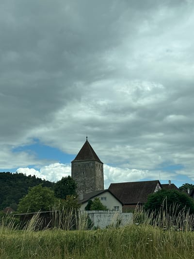 The image captures a scenic view of historical architecture nestled in a natural landscape, characteristic of Zurzach, Switzerland, under a partly cloudy sky.

In the midground, a prominent stone tower with a dark, pointed, pyramidal roof stands centrally. A circular clock face, whose numbers are not legible, is visible on one side of the tower. A slender spire or lightning rod extends from the apex of the roof. Adjacent to the tower on the right, several traditional buildings feature steep, dark-tiled roofs and light-colored walls. One building notably displays a half-timbered upper section beneath its gable.

The immediate foreground on the right is dominated by a field of tall, somewhat dry-looking grass, interspersed with small white and red wildflowers, suggesting a rural or semi-rural setting. In the background, dense, dark-green forests cover rolling hills, adding depth to the landscape.

The sky occupies a significant portion of the upper and left parts of the frame, presenting a dynamic mix of thick grey clouds and vibrant patches of blue sky with some white cumulus clouds. The lighting indicates it is daytime. No people or discernible activities are present in the image. The scene conveys a sense of serene, historical charm integrated with nature.