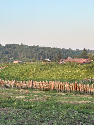 The image depicts a rural landscape in Борисово, Russia, under a clear sky with a gradient of light blue to pale yellow. A weathered wooden fence runs horizontally across the foreground, constructed from vertical pickets and horizontal support beams. Beyond the fence, a green field stretches towards a dense forest that forms the backdrop. In the middle ground, several structures are visible amongst the foliage. On the left, a wooden building or shed with a slanted roof appears. Further to the right, a larger building with a light-colored roof and darker walls is situated, with a red and blue farm implement, possibly a hay rake, extending from it. A tractor is parked near this structure. The field is abundant with green vegetation, and the overall scene suggests a serene, agrarian setting.