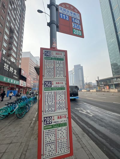 The image depicts an urban street scene at the Shenyang University South Gate bus stop in Dadong District, Shenyang, China.

In the foreground, a prominent red bus stop pole features two primary signs. The upper, rectangular red sign, oriented horizontally, displays "BUS STOP 沈阳大学南门 (SHEN YANG DA XUE NAN MEN)" and lists bus routes 113, 148, 256, and 289. Below it, a taller, vertical red sign contains three panels, each detailing information in Chinese characters for routes 148, 256, and 289, including their respective stops and operating hours. A small white bunny sticker is affixed to the pole above this vertical sign.

To the immediate left of the bus stop, a concrete sidewalk is populated by several pedestrians walking in various directions. A row of approximately 15 blue and teal shared bicycles is parked along the curb, parallel to the sidewalk. Further left, commercial and residential buildings rise multiple stories, constructed primarily of brick-colored materials, with storefronts at ground level displaying Chinese signage, including "乐之购超市" (Le Zhi Gou Supermarket).

To the right of the bus stop, a multi-lane asphalt road extends into the distance. A blue city bus is visible traveling away from the camera in the midground. On the far right, a modern glass high-rise building is partially visible. Further down the road, another large building with a discernible McDonald's sign is present. The sky above is clear and bright, indicating daytime conditions.