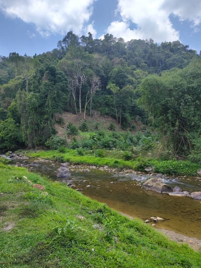 The image shows a river scene in Tambon Song Phraek, Thailand. The river is shallow, with clear, brownish water flowing over rocks and pebbles. Lush green grass and vegetation line the riverbanks. The backdrop is a steep hillside covered in dense tropical forest, with taller trees at the top and shorter vegetation closer to the river. The sky is partly cloudy with a blue sky visible above the treeline. There are no people or animals visible in the shot. The overall environment is serene and natural.