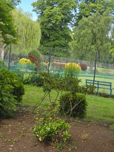 The image depicts a lush green park or garden area with a variety of trees and plants. A chain-link fence runs horizontally across the mid-ground, separating different sections of the park. Beyond the fence, there is a manicured lawn with a blue bench and a sign that reads "WEST". Several mature trees with dense foliage are visible in the background, suggesting a well-established park. The foreground features a patch of bare earth with scattered twigs and leaves, bordered by green foliage and small yellow flowers. The overall impression is one of a serene and verdant outdoor space. The sign "WEST" within the park indicates a location in Stockton-on-Tees, United Kingdom, as this sign is known to be at the West entrance of Preston Park in Stockton-on-Tees.
