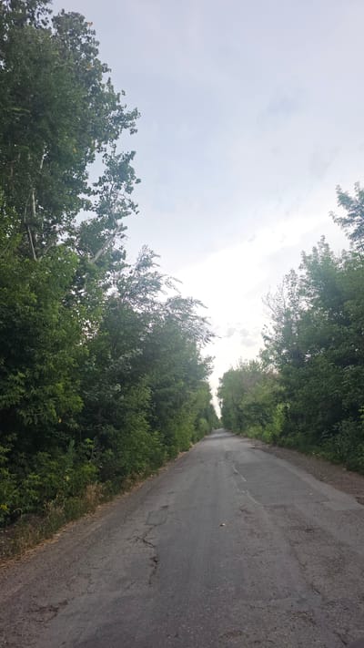The image depicts a paved, two-lane road that appears to be in a state of disrepair, with visible cracks and patches. The road is flanked by dense, green trees on both sides, creating a natural tunnel effect. The trees are lush and full, suggesting a temperate climate. The sky above is overcast with a light gray hue, indicating a cloudy day. The scene is devoid of any human presence or visible vehicles. The overall impression is one of a secluded, possibly rural or semi-urban, pathway in Alğa, Kazakhstan. The road stretches into the distance, disappearing into the horizon, hinting at a journey or exploration.