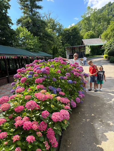 In a park-like setting in Semenovka, Russia, a woman wearing sunglasses and a white and black striped top stands beside a large bush of vibrant pink and purple hydrangeas. She is gesturing with her left hand. To her right, two young boys stand on a paved path. The boy on the left wears a red tank top and grey shorts with the number 86. The boy on the right wears a black t-shirt with "STRONGER" printed on it and green shorts. In the background, there are buildings with green roofs and colorful flags, surrounded by lush green trees and a hillside. The sky is bright blue with some white clouds. The sun casts shadows on the path.