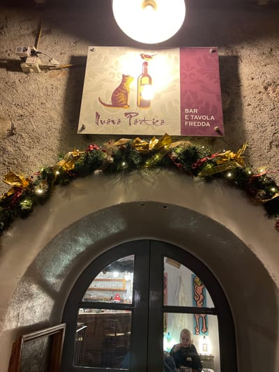 The image shows a vertically oriented view of an illuminated building exterior, likely a bar or restaurant, in Sondrio, Italy, during nighttime. On the far left, a bright, circular light fixture casts light onto a rectangular sign. The sign features an illustration of a brown cat looking towards a red wine bottle. Text on the sign reads "BAR E TAVOLA FREDDA" (Bar and Cold Table) in vertical alignment, and "Nuovo Portico" horizontally below the illustration. Below the sign, an electrical outlet with a white plug-in device is visible on the textured wall.
A festive evergreen garland, adorned with small white lights and golden bows, runs vertically down the center of the frame, separating the sign from a large round window on the right. The dark-framed round window reveals the interior of the establishment, which is brightly lit. Colorful abstract artworks, including blue and red pieces depicting reclining figures, are visible on a wall inside, alongside bottles and shelves. A person with blond hair, wearing a dark top, is reflected in the upper right pane of the window, looking outwards. Below the window, a small, framed picture is partially visible. The scene evokes a cozy, inviting atmosphere, possibly during the holiday season due to the festive garland.