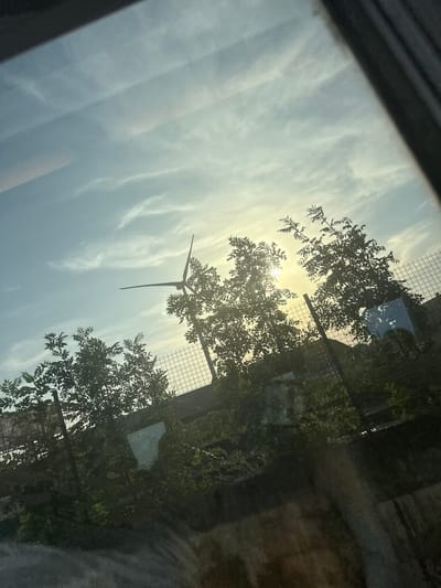 The image, taken in Wuustwezel, Belgium, is a vertical shot featuring a wind turbine visible against a bright, cloudy sky. The sun is shining, creating lens flare and illuminating the scene, suggesting it is daytime. The turbine's blades are elongated and thin, pointing upwards and slightly to the right. Silhouetted trees with dense foliage frame the sky on the left and right sides of the turbine. A wire fence, characteristic of an outdoor enclosure, is visible behind the trees on the right. The scene appears to be viewed through a glass surface, possibly a window, as there are reflections present, particularly on the right side of the image, obscuring some details of the background foliage and structures. The overall impression is one of a rural or semi-rural landscape with renewable energy infrastructure. The time of day is likely afternoon, given the bright sunlight and the angle of the light. The weather appears partly cloudy, with wispy clouds scattered across the sky. No people are visible in the frame, and no text is present.