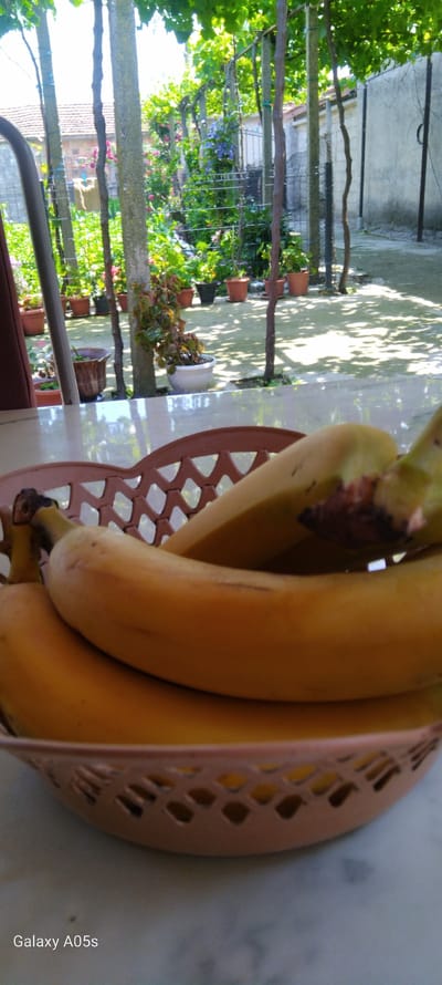 The image displays a close-up of a bunch of ripe, yellow bananas resting in a light brown or pink plastic basket with a distinct open geometric pattern. Some bananas show minor brown blemishes and slight green tinges near their stems.

The background reveals a sunlit outdoor area, likely a garden or courtyard, with bright light casting distinct shadows of dense green foliage onto a concrete or paved surface, indicating it is daytime. The scene features lush green plants, possibly grapevines, supported by wooden beams and concrete pillars that form an overhead canopy or trellis structure. Several potted plants are visible on the ground. In the distance, a concrete wall or building and hints of colorful purple and pink flowers can be seen amidst the greenery.

The text "Galaxy A05s" is present in white lettering along the bottom right edge of the image, identifying the camera model used. The scene is located in Zavoy, Bulgaria.