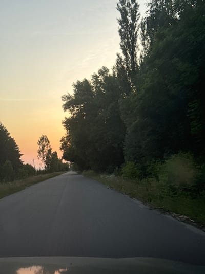 An asphalt road stretches into the distance through a landscape of trees under a pale yellow and orange sky. The right side of the road is bordered by dense, dark green trees and foliage, with some taller, thinner trees visible among them. The left side of the road features sparser trees and vegetation, with tall, thin trees also present in the distance. A single utility pole is visible on the left side of the road. The lower portion of the image shows the hood of a vehicle, which reflects the sky and surrounding environment. The scene appears to be a rural road on the outskirts of Dovhe, Ukraine, possibly at dusk or dawn given the sky's coloration.