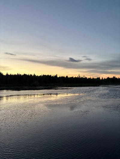 The image depicts a serene twilight scene over a body of water, likely a lake or wide river, bordered by a dense line of trees on the far bank. The sky transitions from a pale yellow and orange hue near the horizon to a soft blue overhead, with scattered wispy clouds. The water is calm, with gentle ripples creating a reflective surface that mirrors the colors of the sky and the dark silhouette of the treeline. Some patches of aquatic vegetation are visible on the water's surface. The overall impression is one of natural tranquility at the end of the day. The location is identified as Alexeyevskoye, Russia. There are no people or discernible man-made structures in the frame.