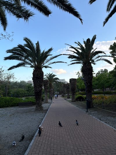The image depicts a pedestrian pathway in Arroyo De La Miel-Benalmadena Costa, Spain. The path is constructed of red brick and flanked by a row of palm trees on either side. The trees vary in size and maturity.

The area adjacent to the pathway is covered in gravel and includes sparse vegetation, benches, and lampposts. Pigeons are scattered along the pathway and gravel area.

In the distance, two individuals are walking on the pathway. The sky is blue with scattered clouds. The image appears to be taken at ground level and is oriented at an unusual angle.