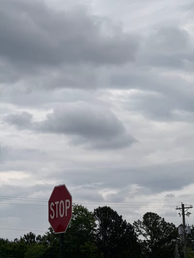 A stop sign is positioned in front of a cloudy sky and trees. Electrical wires run through the scene. The location is potentially in Stone Mountain, United States of America.
