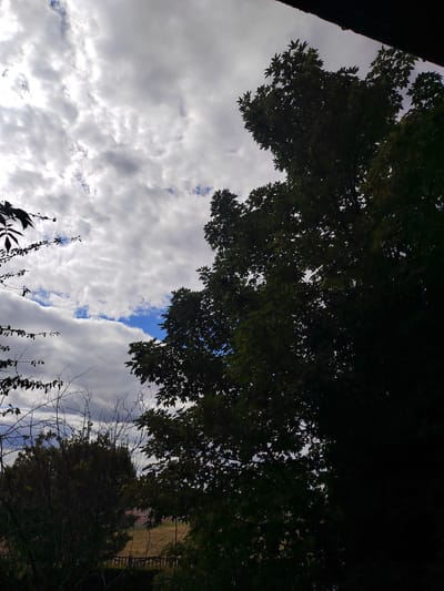 The image is a landscape photograph taken outdoors, likely in France, as indicated by the context. It primarily features a dramatic sky with a mix of white and gray clouds, interspersed with patches of bright blue sky. The clouds appear textured and dynamic, suggesting movement or varied atmospheric conditions.
In the foreground and to the right, a large, dark silhouette of a leafy tree dominates the frame. Its branches and foliage are clearly defined against the brighter sky, creating a strong contrast. To the left, thinner branches and leaves of another tree or shrub are visible, also silhouetted. Further in the background, hints of more vegetation, possibly a smaller tree or bushes, are visible, along with what appears to be a distant fence and a grassy field. The overall setting seems to be a natural or semi-natural environment, perhaps a park or a garden.
The time of day is not explicitly indicated, but the lighting suggests it could be late afternoon or early morning, given the contrast between the illuminated clouds and the shadowed foreground. The weather appears to be variable, with sunshine breaking through cloud cover. There are no people or explicit man-made objects of note, beyond the implied structure providing the dark overhang in the upper right corner, which might be a roof or awning. The image conveys a sense of natural beauty and the changing moods of the sky. No visible text is present in the image.