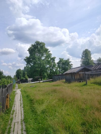 The image depicts a rural scene in Yaksha, Russia, on a cloudy day. A wooden boardwalk, made of rough-hewn planks, leads diagonally from the lower left to the middle of the frame, bordered on the left by a weathered wooden fence. The boardwalk traverses a grassy area with patches of tall, dry grass and scattered green vegetation. To the right of the boardwalk, several rustic wooden structures, likely sheds or small outbuildings with corrugated metal roofs, are visible. In the background, a cluster of mature green trees forms a dense line across the horizon, with a large, leafy deciduous tree dominating the central portion of the scene. The sky is partly cloudy, with large white cumulus clouds against a pale blue background. No people or animals are present in the image, and no overt actions or interactions are occurring.