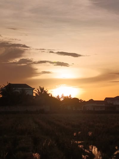 The image depicts a sunset scene in Meuliek, Indonesia. The sky is dominated by warm hues of orange and yellow, with scattered clouds adding depth and texture. The sun, a bright orb, is low on the horizon, casting a warm glow across the landscape. In the foreground, silhouetted against the sky, are several buildings, including a multi-story structure and some smaller houses. Palm trees and other vegetation are also visible, adding a tropical feel to the scene. The ground appears to be a field, possibly a rice paddy, with some areas of water reflecting the sunset. The overall impression is one of tranquility and natural beauty, with the setting sun creating a dramatic and picturesque view.