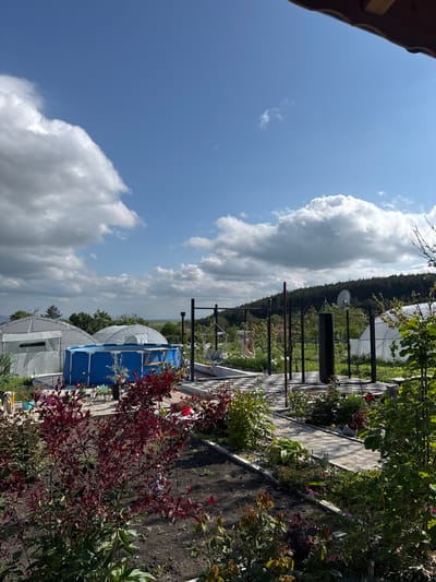 The image shows a backyard scene in Praventsi, Bulgaria. A blue above-ground pool is a prominent feature, positioned near a greenhouse-like structure. There is a pathway with patterned paving stones, bordered by garden beds with various plants and flowers. A metal structure with hanging elements is visible along the pathway. The background includes trees and a view of the sky with clouds. The image seems to have been taken on a sunny day.