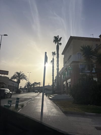 The image depicts a street scene in Urbanización La Cenia II, Spain, during what appears to be late afternoon or early morning due to the low angle of the sun. The sun is visible, casting long shadows and creating a bright haze across the sky. Several palm trees line the street, with their fronds silhouetted against the bright sky. On the right side of the street, there is a multi-story building with a light-colored facade and tiled roof, featuring arched windows and balconies. Green signage is visible on the building's lower floors. On the left side of the street, a car is parked, and a sidewalk is paved with textured tiles that reflect the sunlight. Traffic appears light, with a few cars visible on the road and a person or two walking in the distance. A street lamp is also visible on the left side of the image. The overall atmosphere is bright and slightly hazy, characteristic of a sunny day.