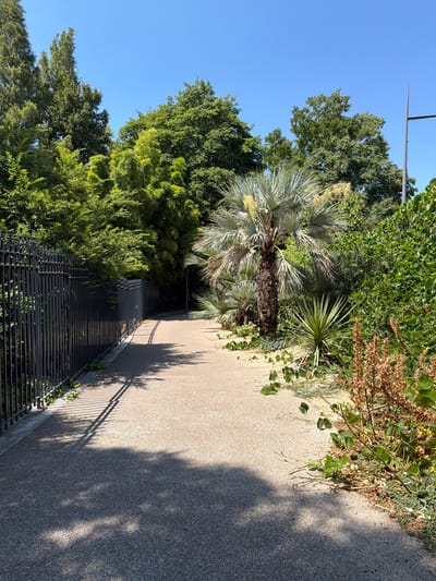 This image depicts a paved pathway in a park-like setting with a clear blue sky overhead. A black metal fence runs along the left side of the pathway, casting a shadow on the ground. Lush green trees and vegetation are visible on both sides of the path, with a prominent palm tree standing out on the right. The pathway appears to curve slightly to the right, leading into the distance. The scene suggests a tranquil outdoor environment on a sunny day, likely in a city that has ample green spaces. Based on the provided information, this location is the Parc Montplaisir in Valence, France.