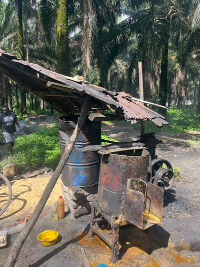 This image captures a rustic, outdoor processing area, likely for palm oil, set within a dense palm plantation in Aghalokpe, Nigeria. The scene features makeshift industrial equipment under a damaged corrugated metal roof, indicative of a small-scale operation.

At the center are large, heavily stained metal drums, one blue and another rusty orange, connected to a mechanical engine or press, all appearing well-used and covered in dark, viscous residue, presumably palm oil. Tall oil palm trees surround the area, their fronds filling the background and contributing to the tropical, agricultural setting. Green undergrowth is visible behind the machinery, and the ground is soiled with oil and dirt.

A man is standing in the lower left foreground, wearing a dark t-shirt with the word "NOBODY" printed on it, and light shorts. He is looking away from the camera. In the mid-ground, wisps of smoke rise, suggesting a heating or burning process related to the oil extraction.

Other objects include several plastic bottles containing liquids, a bright yellow plastic bucket on the ground, and a bicycle wheel leaning against a wooden support. The strong sunlight casts sharp shadows, indicating a midday setting. The overall impression is one of a functional, if rudimentary, industrial activity amidst a natural, rural environment.