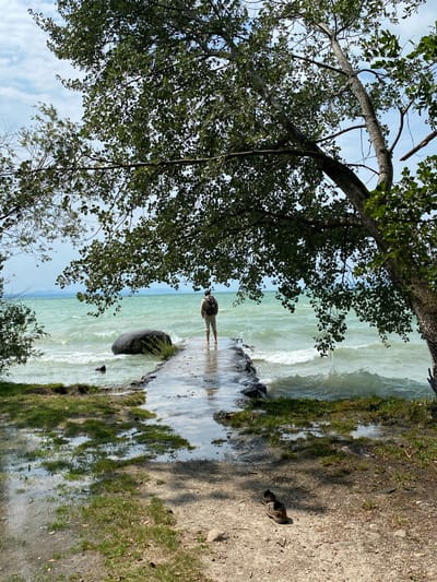 A person, facing away from the camera, stands on a wet concrete pier that extends into a body of water. The person is wearing a light-colored shirt, dark shorts, and a backpack. The pier is surrounded by grass and puddles of water. A large, dark rock is visible near the end of the pier. The water is choppy, with waves breaking on the shore. Lush green trees with dense foliage hang over the scene, casting shadows on the ground. The sky is partly cloudy. A pair of brown sandals are on the ground in the foreground. The scene appears to be a natural outdoor setting, possibly a lake or a large river. There is no indication of the city of Laténa, Switzerland.