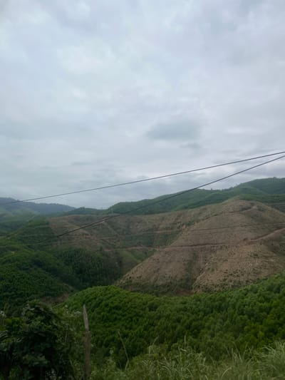 The scene depicts a mountainous landscape in the Aê Thi region of Vietnam, observed under a uniformly overcast sky. The terrain features multiple undulating hills extending into the background. The foreground and midground display a mosaic of vegetation, including dense areas of vibrant green, young trees, alongside distinct sections of cleared or recently deforested land appearing as lighter brown patches with sparse stubble and visible linear patterns, possibly terraces or access roads. Several dark, horizontal utility cables traverse the upper-mid portion of the frame. The immediate foreground contains darker green foliage and taller dry grasses. No individuals, animals, or vehicles are present in the image.