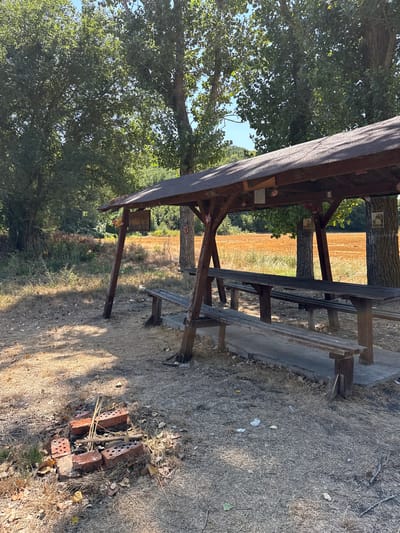 An outdoor picnic area is depicted under a wooden shelter with a dark, weathered roof. The shelter features a long, communal wooden table with attached benches on either side, and a separate, lower bench positioned in front. The ground is covered in dry grass and leaves, with a small, makeshift fire pit constructed from bricks in the foreground. The area is surrounded by trees, with a field of dry, golden vegetation visible in the background. Two wooden posts of the shelter are adorned with small framed pictures and decorative flowers. A third tree, to the right, also has a framed picture attached to it. The scene is lit by bright sunlight, casting shadows across the ground.